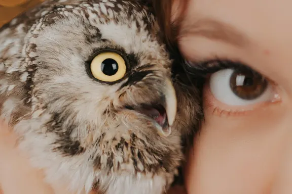 Kazino Welcome Bingo Atbalsts